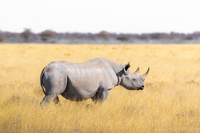 Three Nations Safari: Uganda, Kenya & Tanzania with Zanzibar Finale